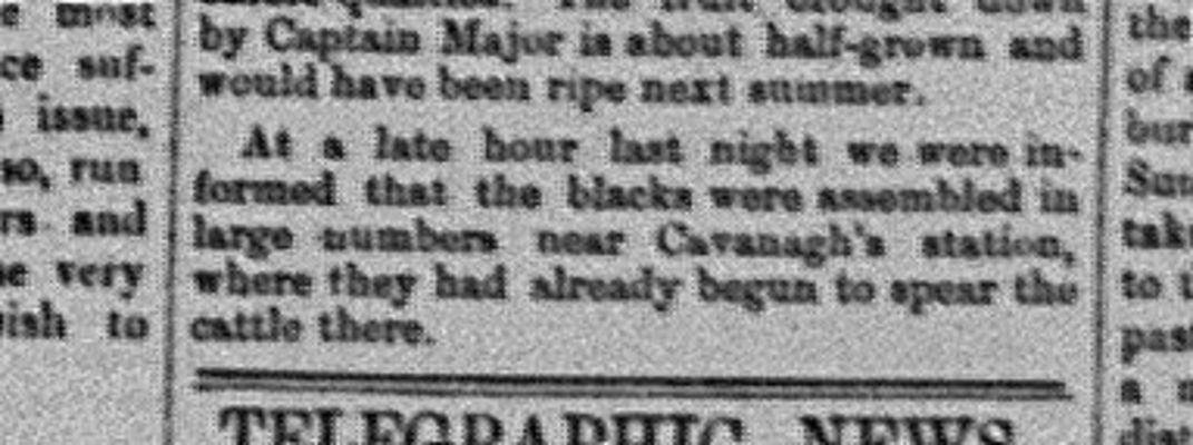 Port Denison Times, 22 July 1867, p2